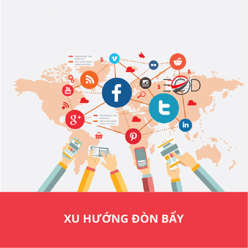 xu_huong_don_bay